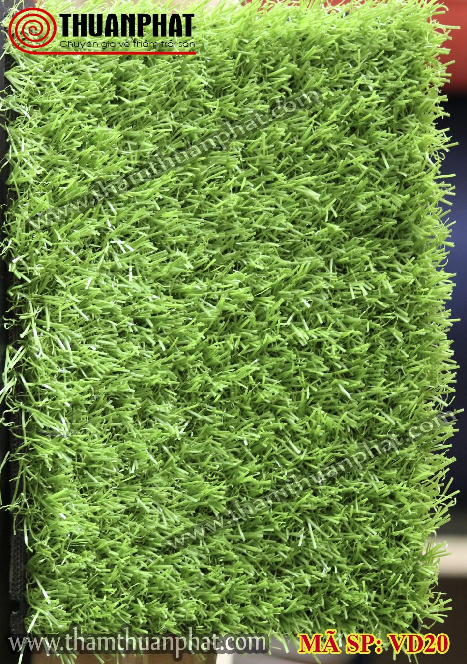 Thảm cỏ nhân tạo VD20