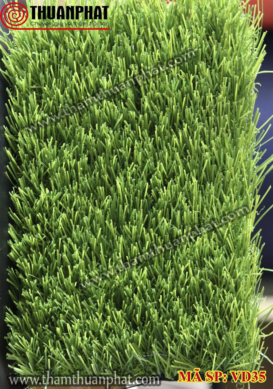 Thảm cỏ nhân tạo VD35
